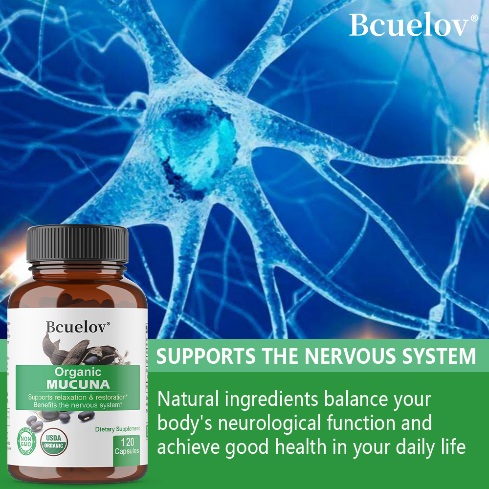 Cápsulas de Mucuna orgánica -  - Tulsi Holy Basil reseña y precio
